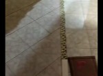 1000711939